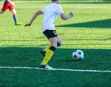 菲尼克斯太,阳连胜,专家推荐质,完整即时足球比分,足球赛事平台,足球比赛比分,足球赛事数据,足球赛事信息