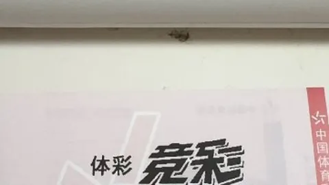 2026年神基狂飙20：上涨背后的神秘推手